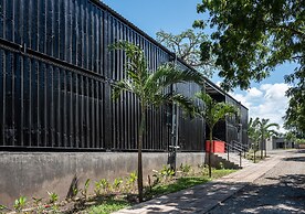 Boxo Diani