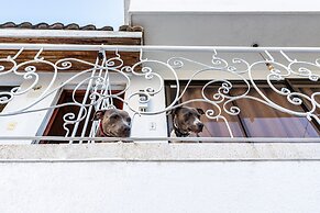 Oresca Hostel