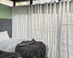Sevinc With Forest View - Cloud Nine and a Half