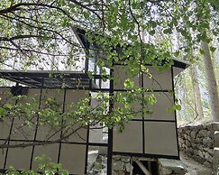 Zihin With Forest View - Cloud Nine And a Half