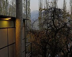 Zihin With Forest View - Cloud Nine And a Half