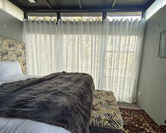 Zihin With Forest View - Cloud Nine And a Half