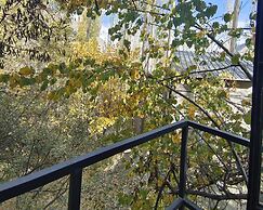 Zihin With Forest View - Cloud Nine And a Half