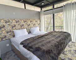 Zihin With Forest View - Cloud Nine And a Half