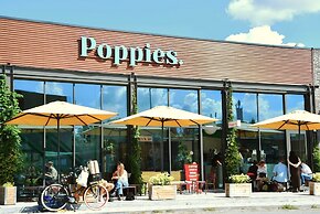 Poppies