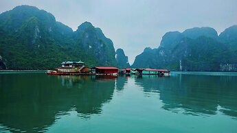 Arcady Boutique Cruise