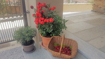 Tenuta Rella