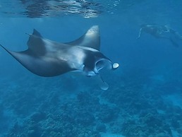 Nihaali Maldives