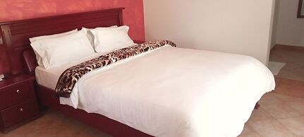 samanene hotels limited