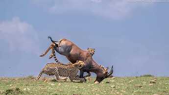 Mara Enkajiang Tented Camp