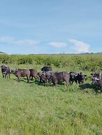 Mara Enkajiang Tented Camp
