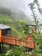 Northland Bungalows