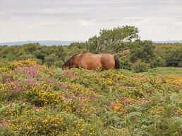 Heathfield