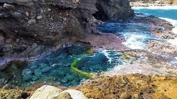 Whale Tails Island Suites & Villas