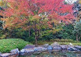 ikenoyamasou