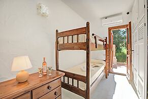 Corallina 179