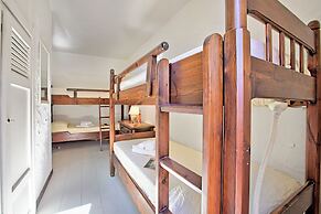 Corallina 179