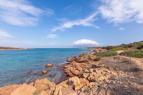 Corallina 179