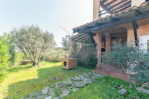 Corallina 179