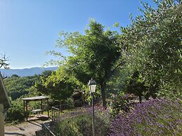 Sale! Beautiful 2-bed Apartment With Pool Access