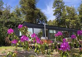 Calma Cabins