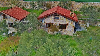 The Mira House