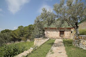 The Mira House