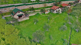 The Mira House