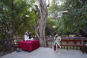 Malhar Machi Mountain Resorts