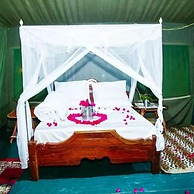 Mikumi Nalika Camp