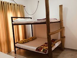 Jungle City Hostel