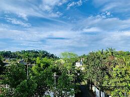 Jungle City Hostel