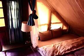Chapi Dreamy Home