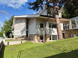 Vila Prag