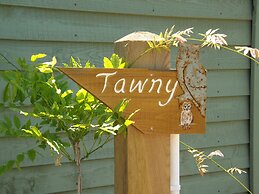 Tawny