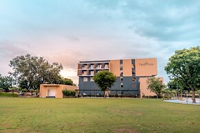 The Fern Alwar