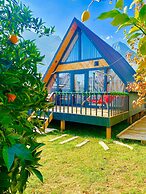 Garden Bungalows and Suites
