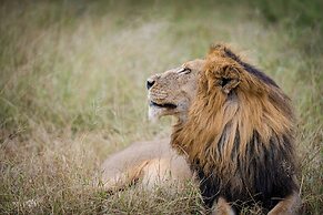 Serondella Safari Lodge