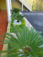 Hotel La Iguana Dorada