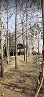 Nepal Himalayan Paulownia Resort
