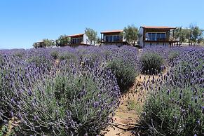 Montevalle Resort and Spa