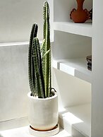 Villa Cactus Bingin
