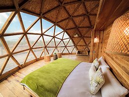 KUOOM SERENGETI
