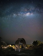 KUOOM SERENGETI