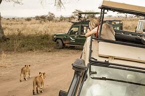 KUOOM SERENGETI