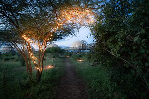 KUOOM SERENGETI