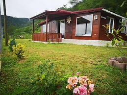 Dag Evi