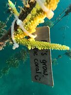 Mangroove Bay Boutique Hostel
