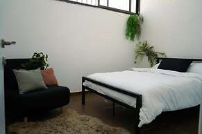 Jungle Jaffa Hostel Age 18 to 45