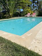 HOTEL IGUANA